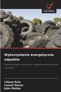 bokomslag Wykorzystanie energetyczne odpadów