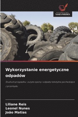 bokomslag Wykorzystanie energetyczne odpadów