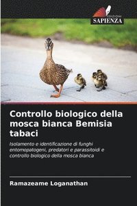 bokomslag Controllo biologico della mosca bianca Bemisia tabaci