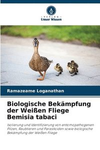 bokomslag Biologische Bekämpfung der Weißen Fliege Bemisia tabaci
