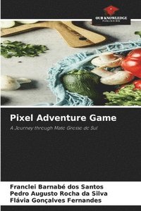 bokomslag Pixel Adventure Game