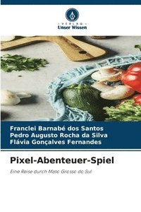bokomslag Pixel-Abenteuer-Spiel