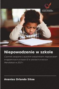 bokomslag Niepowodzenie w szkole