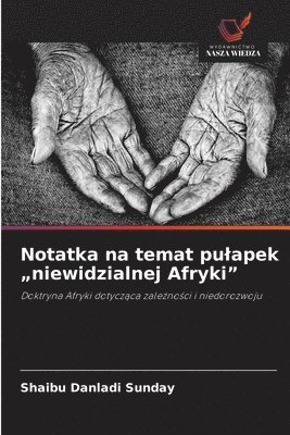 Shaibu Danladi Sunday - Notatka na temat pulapek "niewidzialnej Afryki", Häftad