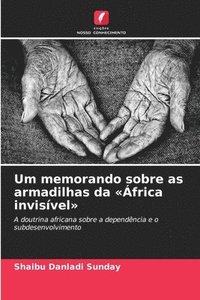 bokomslag Um memorando sobre as armadilhas da 'África invisível'