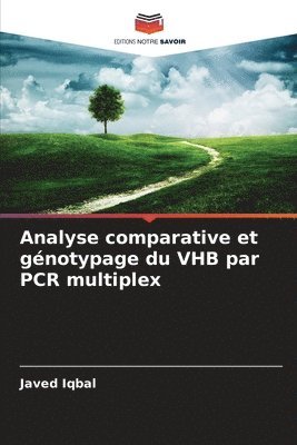 Javed Iqbal - Analyse comparative et génotypage du VHB par PCR multiplex, Häftad
