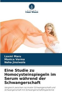bokomslag Eine Studie zu Homocysteinspiegeln im Serum während der Schwangerschaft