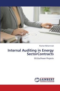 bokomslag Internal Auditing in Energy SectorContracts
