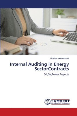 bokomslag Internal Auditing in Energy SectorContracts