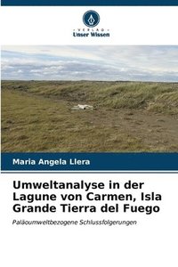 bokomslag Umweltanalyse in der Lagune von Carmen, Isla Grande Tierra del Fuego