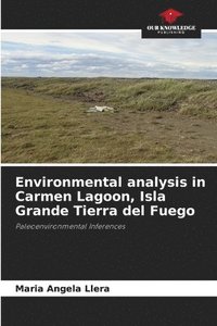 bokomslag Environmental analysis in Carmen Lagoon, Isla Grande Tierra del Fuego