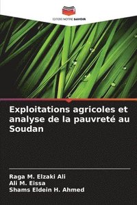bokomslag Exploitations agricoles et analyse de la pauvret au Soudan