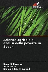 bokomslag Aziende agricole e analisi della povert in Sudan