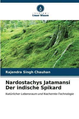 Nardostachys Jatamansi Der indische Spikard 1