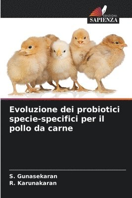 Evoluzione dei probiotici specie-specifici per il pollo da carne 1