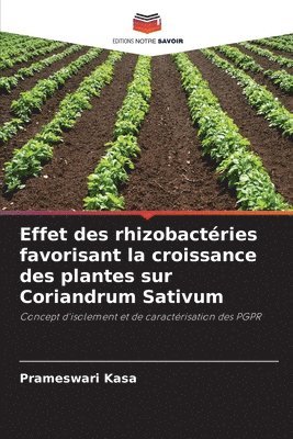 Effet des rhizobactries favorisant la croissance des plantes sur Coriandrum Sativum 1