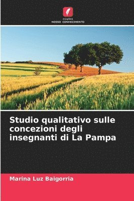 bokomslag Studio qualitativo sulle concezioni degli insegnanti di La Pampa