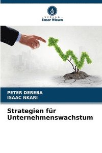 bokomslag Strategien fr Unternehmenswachstum