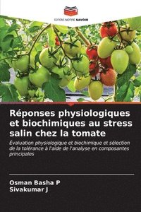 bokomslag Rponses physiologiques et biochimiques au stress salin chez la tomate