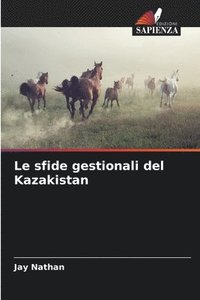 bokomslag Le sfide gestionali del Kazakistan