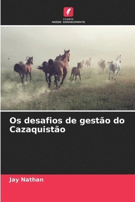 bokomslag Os desafios de gesto do Cazaquisto