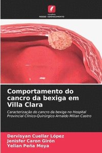 bokomslag Comportamento do cancro da bexiga em Villa Clara