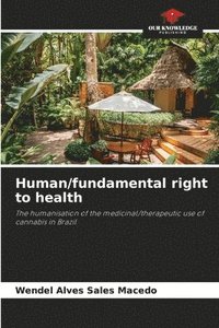 bokomslag Human/fundamental right to health