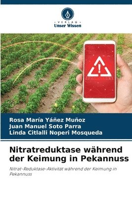 Nitratreduktase whrend der Keimung in Pekannuss 1