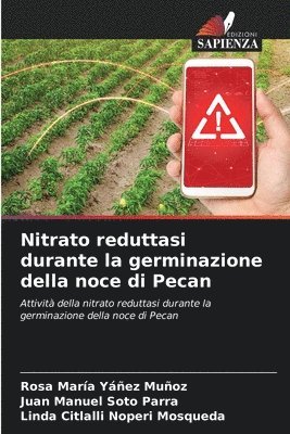 bokomslag Nitrato reduttasi durante la germinazione della noce di Pecan