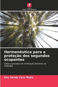 bokomslag Hermenutica para a proteo dos segundos ocupantes