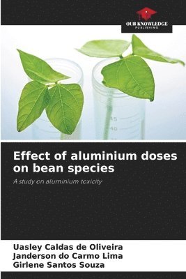 Effect of aluminium doses on bean species 1