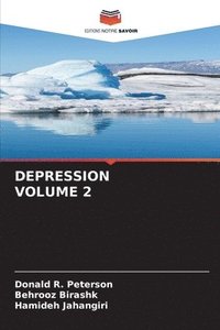 bokomslag Depression Volume 2