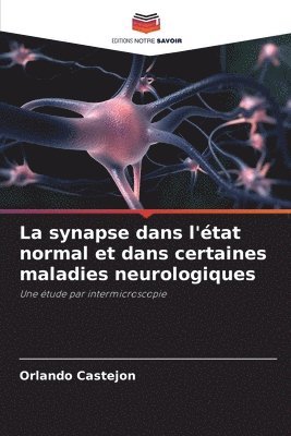 bokomslag La synapse dans l'tat normal et dans certaines maladies neurologiques