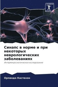 bokomslag &#1057;&#1080;&#1085;&#1072;&#1087;&#1089; &#1074; &#1085;&#1086;&#1088;&#1084;&#1077; &#1080; &#1087;&#1088;&#1080; &#1085;&#1077;&#1082;&#1086;&#1090;&#1086;&#1088;&#1099;&#1093;