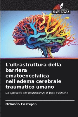 L'ultrastruttura della barriera ematoencefalica nell'edema cerebrale traumatico umano 1