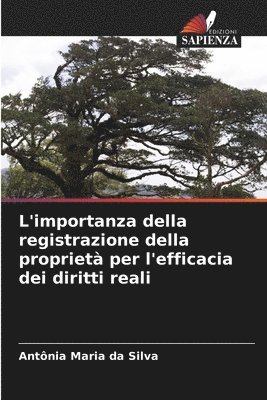 bokomslag L'importanza della registrazione della propriet per l'efficacia dei diritti reali