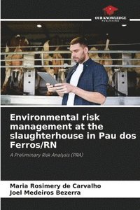 bokomslag Environmental risk management at the slaughterhouse in Pau dos Ferros/RN