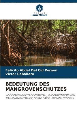 Bedeutung Des Mangrovenschutzes 1