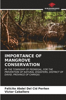 Importance of Mangrove Conservation 1