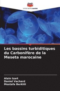bokomslag Les bassins turbiditiques du Carbonifre de la Meseta marocaine
