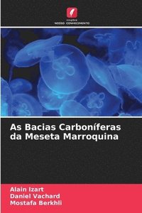 bokomslag As Bacias Carbonferas da Meseta Marroquina