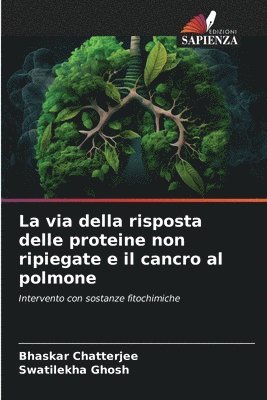 bokomslag La via della risposta delle proteine non ripiegate e il cancro al polmone