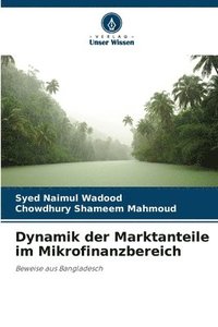 bokomslag Dynamik der Marktanteile im Mikrofinanzbereich