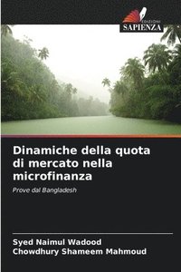 bokomslag Dinamiche della quota di mercato nella microfinanza