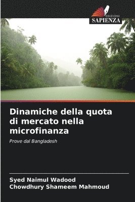 Dinamiche della quota di mercato nella microfinanza 1