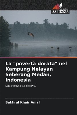 La &quot;povert dorata&quot; nel Kampung Nelayan Seberang Medan, Indonesia 1