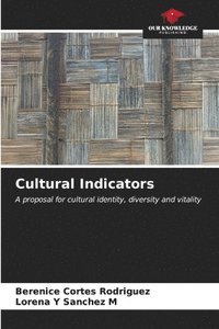 bokomslag Cultural Indicators