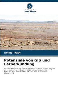 bokomslag Potenziale von GIS und Fernerkundung