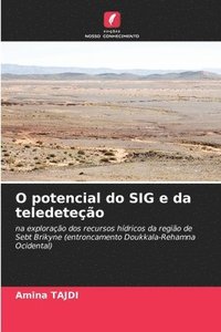 bokomslag O potencial do SIG e da teledeteo