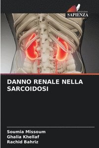 bokomslag Danno Renale Nella Sarcoidosi